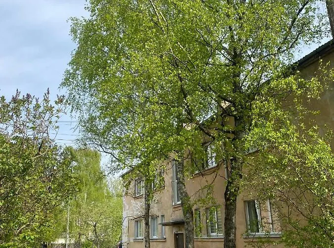 Quiet And Peaceful Apartment Close To The City Center